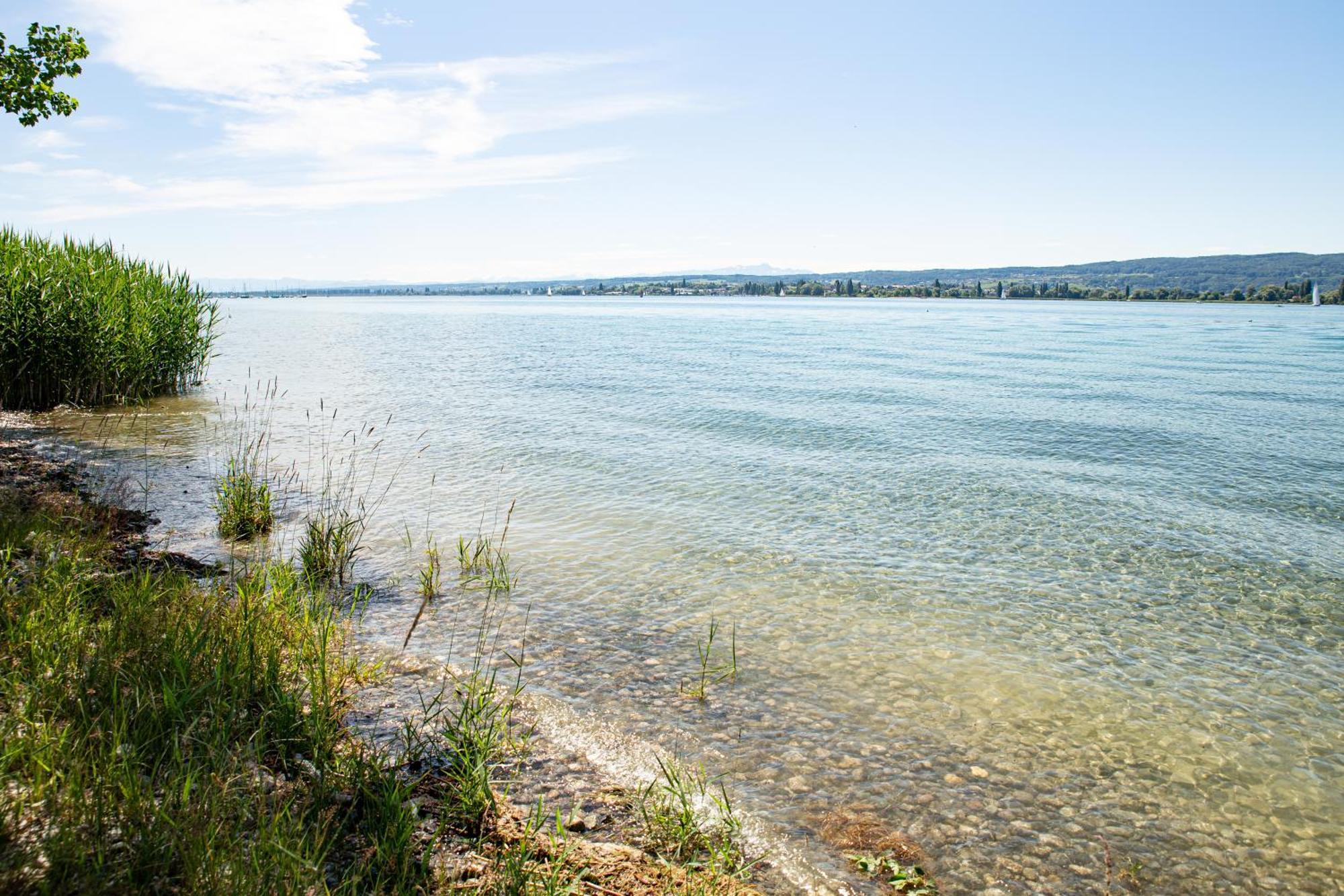 Lakeside Apartment - Seeufer Apartment Allensbach Dış mekan fotoğraf