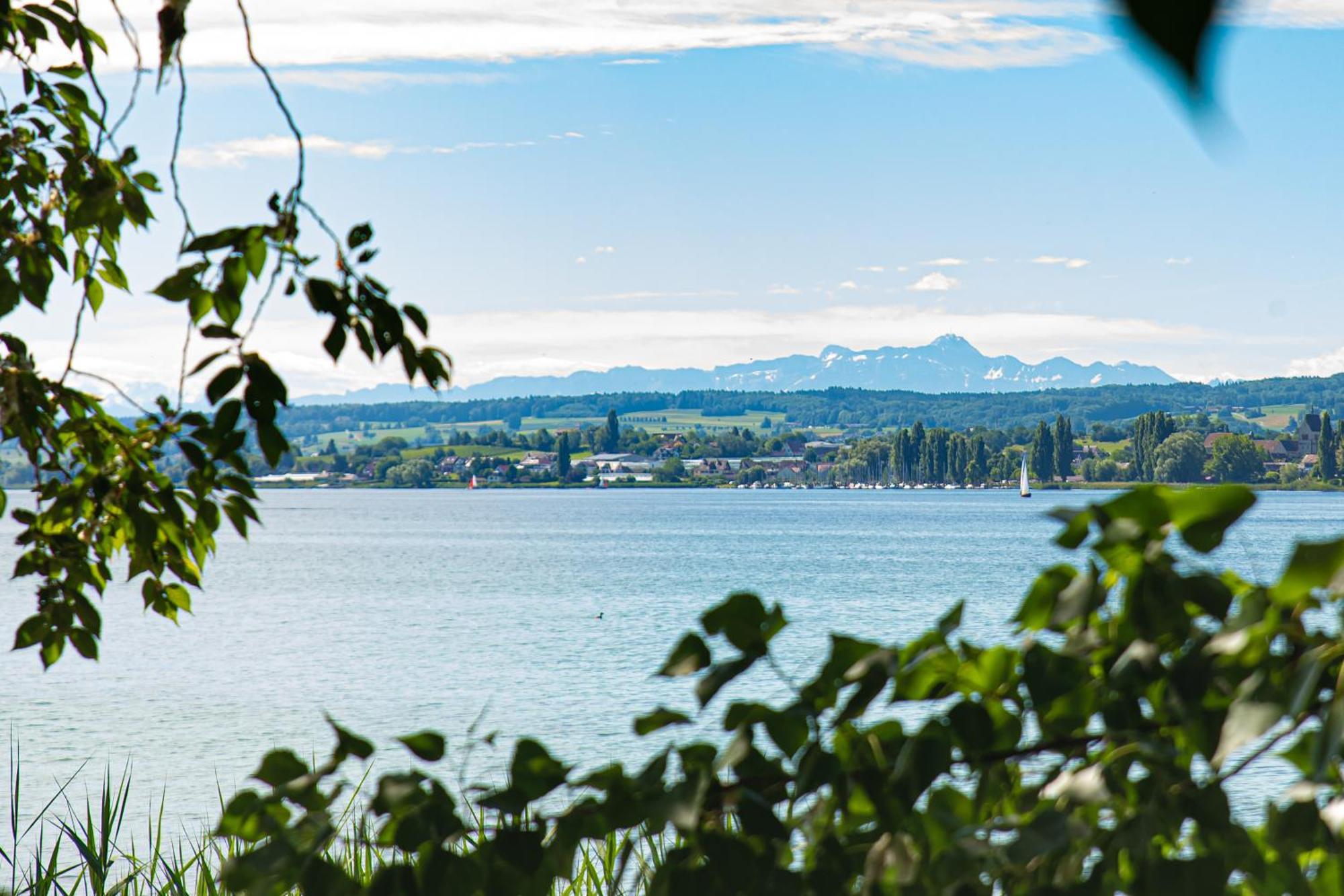 Lakeside Apartment - Seeufer Apartment Allensbach Dış mekan fotoğraf